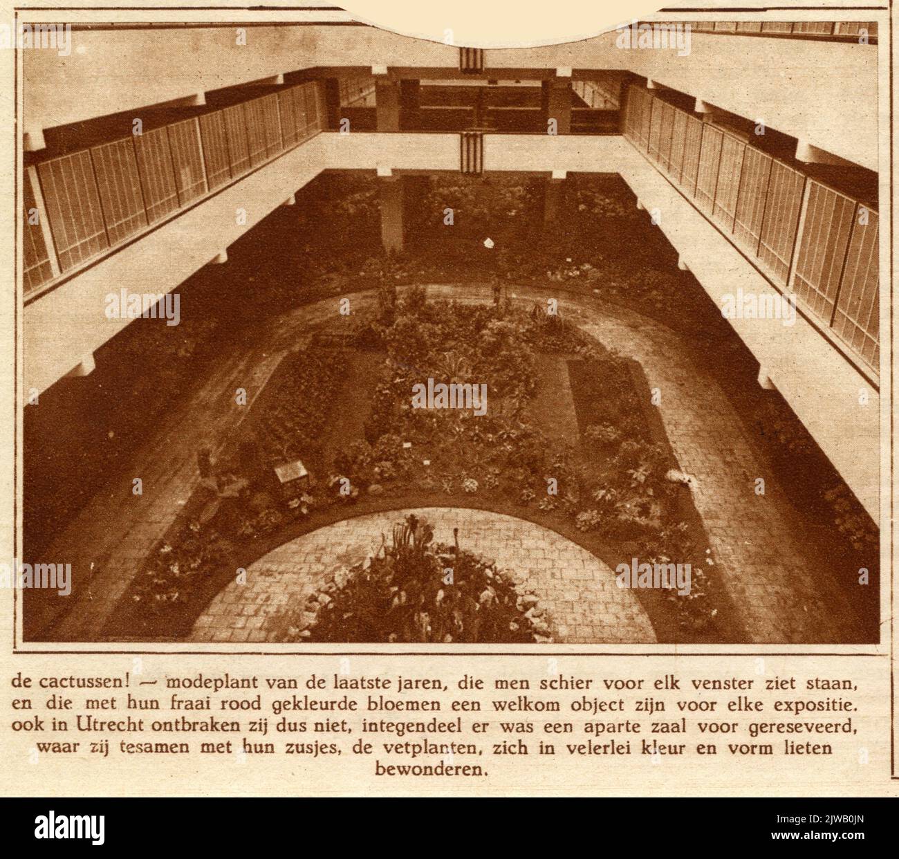 Un paradiso dei fiori nella fondazione Foto Stock