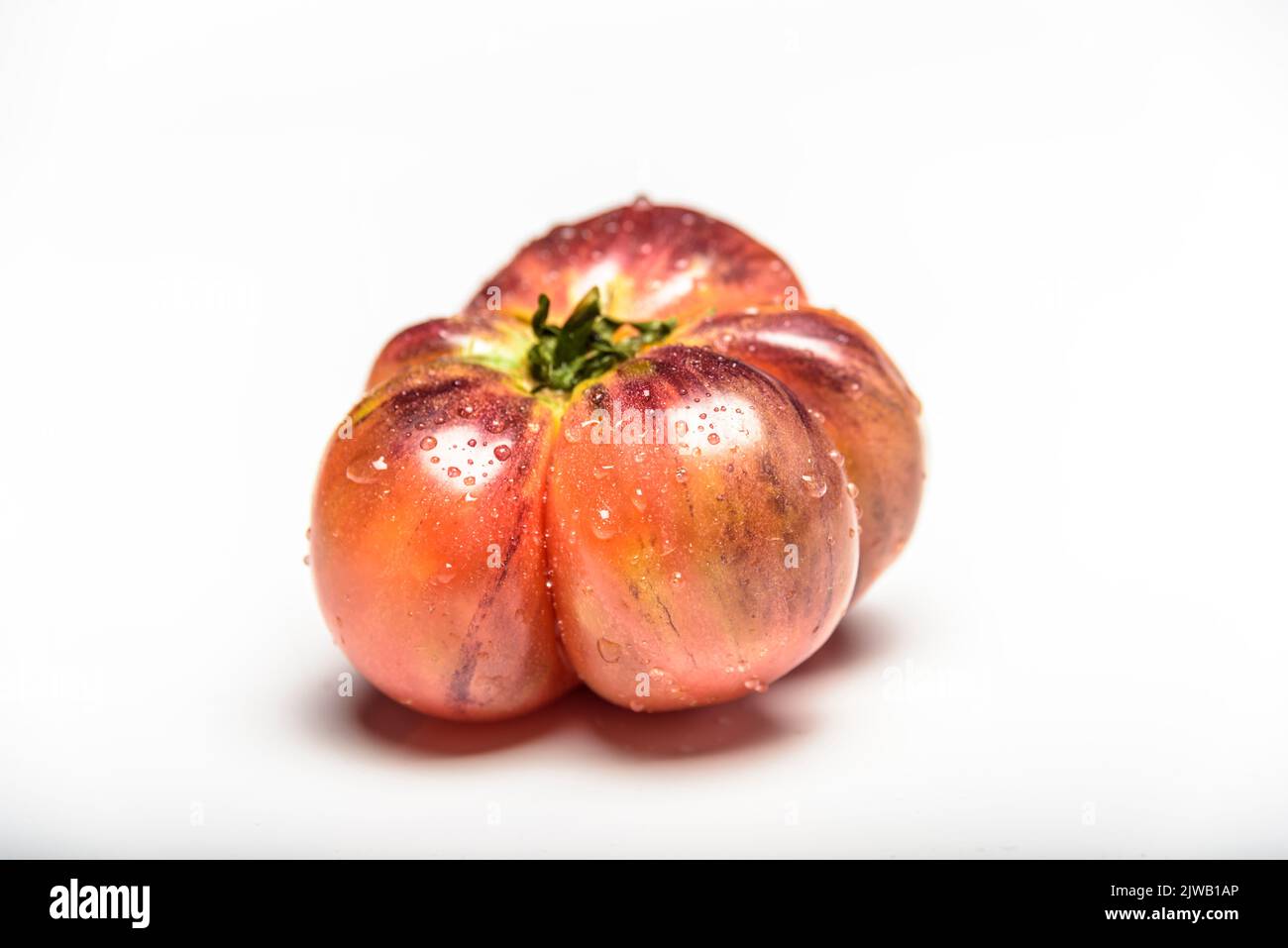 Poco pomodoro Tiger Verde è bagnato. Foto Stock