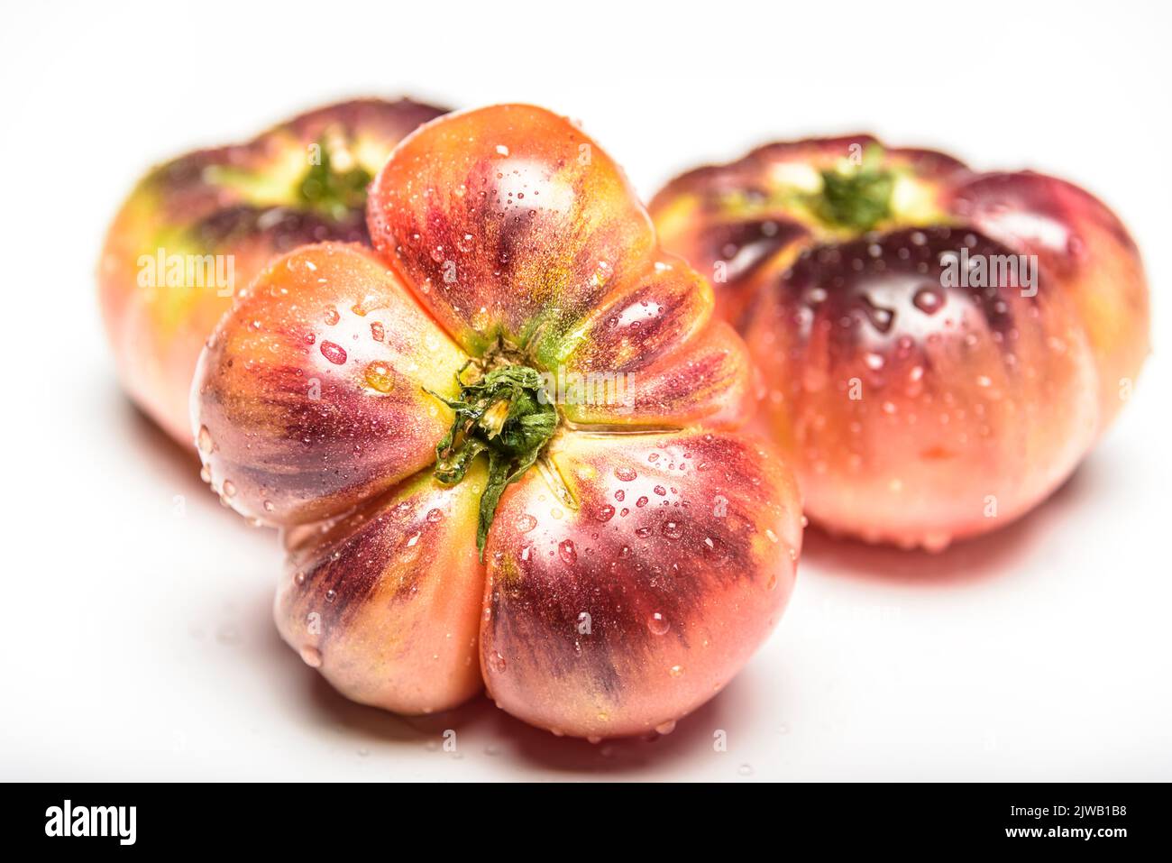 Poco pomodoro Tiger Verde è bagnato. Foto Stock