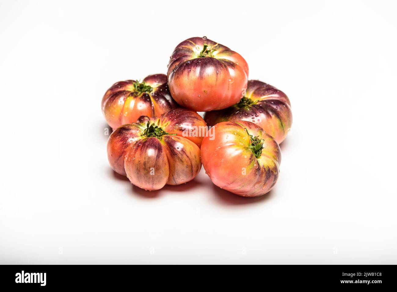 Poco pomodoro Tiger Verde è bagnato. Foto Stock