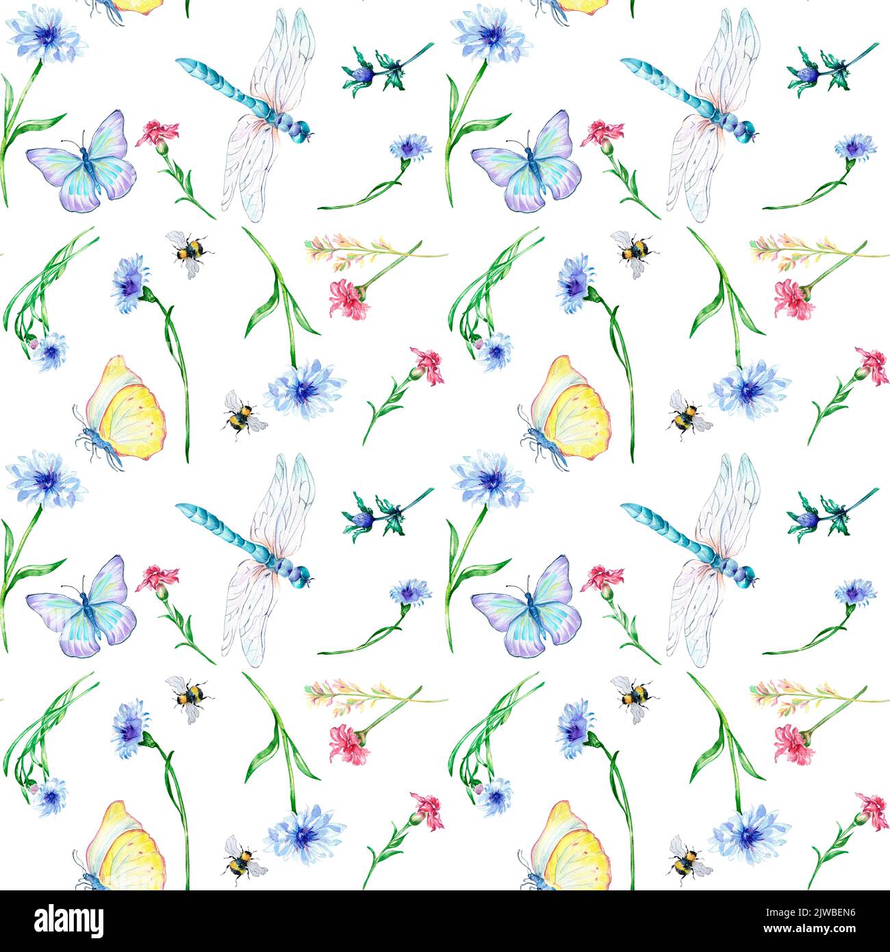Campo floreale estivo con libellula e acquerello farfalla motivo senza cuciture su bianco. Prato fiori illustrazione, bug disegnati a mano. Design per tessuti Foto Stock