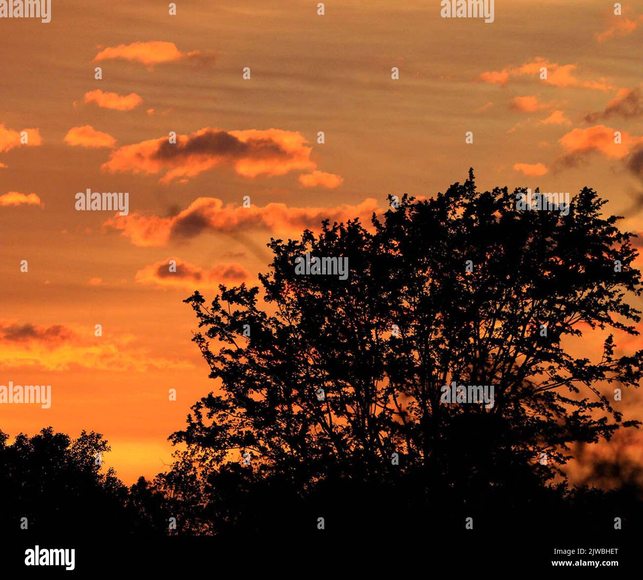 Splendidi tramonti la sera in Sri Lanka Foto Stock