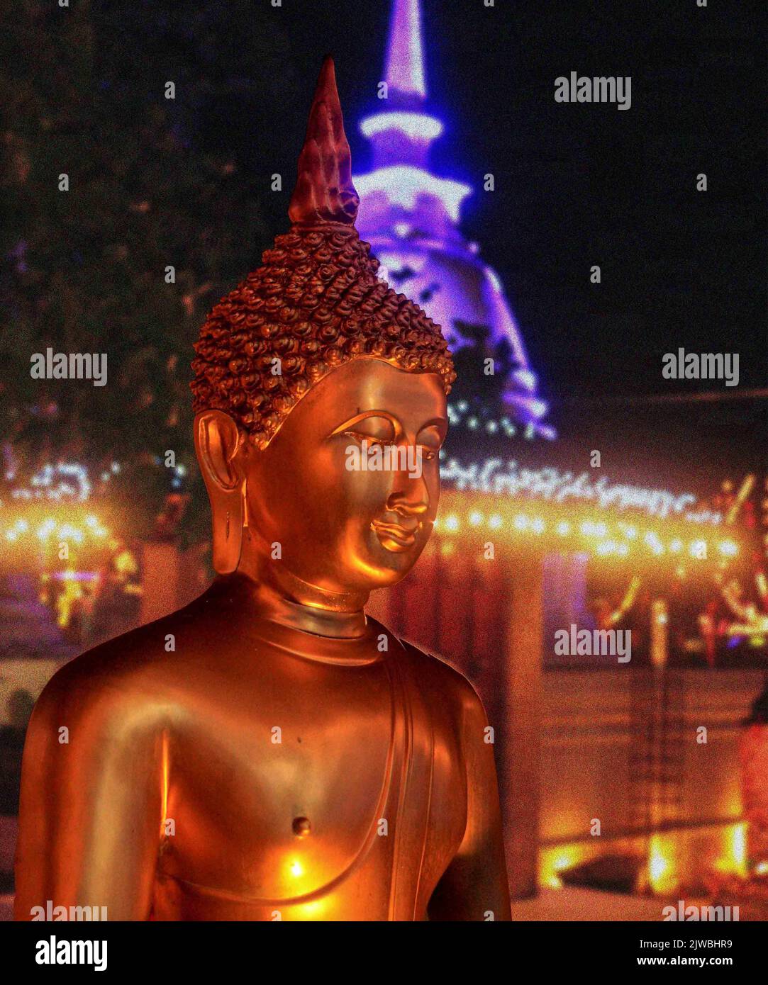 Vesak un festival buddista in Sri Lanka. Foto Stock