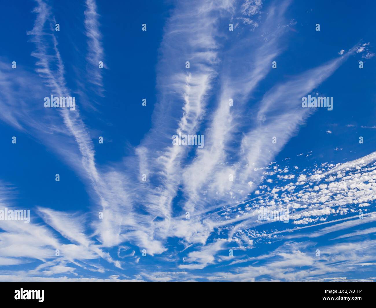 Drifting aviogetti d'alta quota contrasta mescolando con Altocumulus nubi (alto contrasto) - sud-Touraine, Indre-et-Loire (37), Francia. Foto Stock
