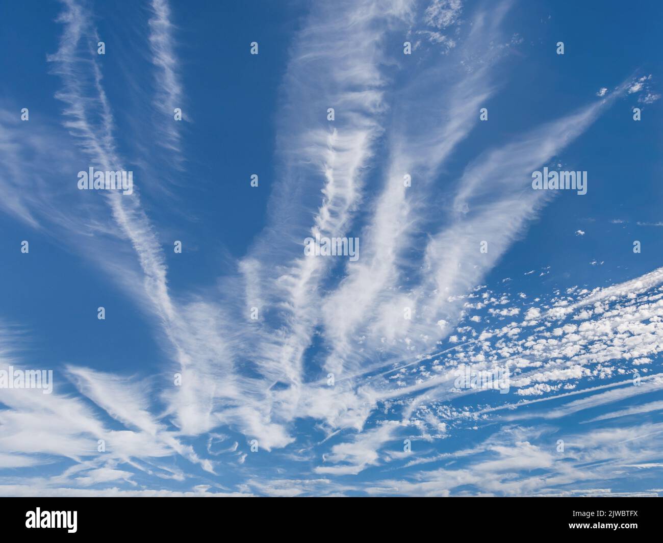 Drifting aviogetti d'alta quota contrasta mescolando con Altocumulus nubi (basso contrasto) - sud-Touraine, Indre-et-Loire (37), Francia. Foto Stock