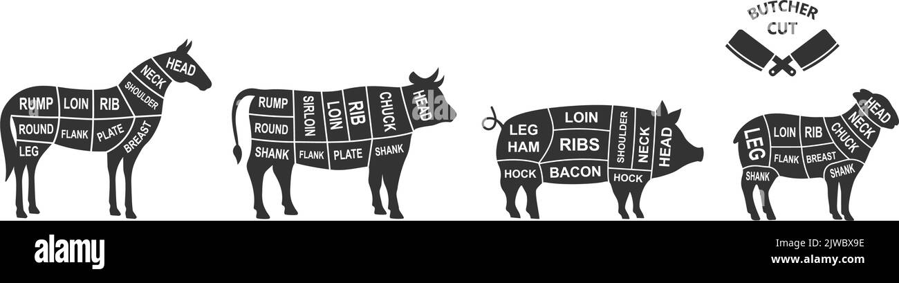 Serie di tagli di regime per gli animali da allevamento. Poster del diagramma della macellatrice. Maiale, Cavallo, pecora, mucca tagli di carni. Illustrazione schema di carne Illustrazione Vettoriale