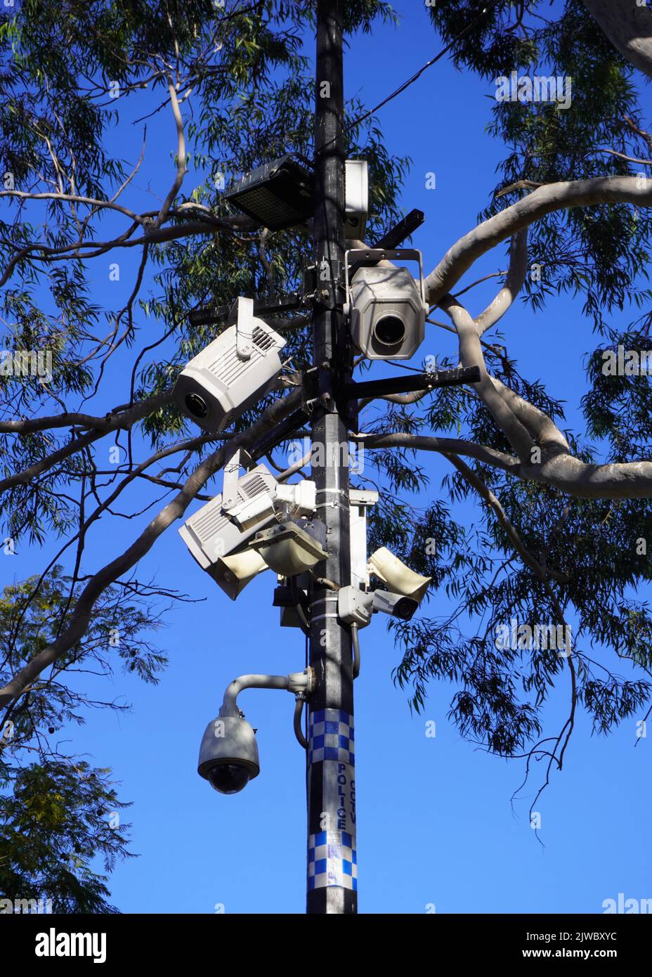 Telecamere CCTV di fronte a un albero contro il cielo blu in Todd Mall, Alice Springs Foto Stock