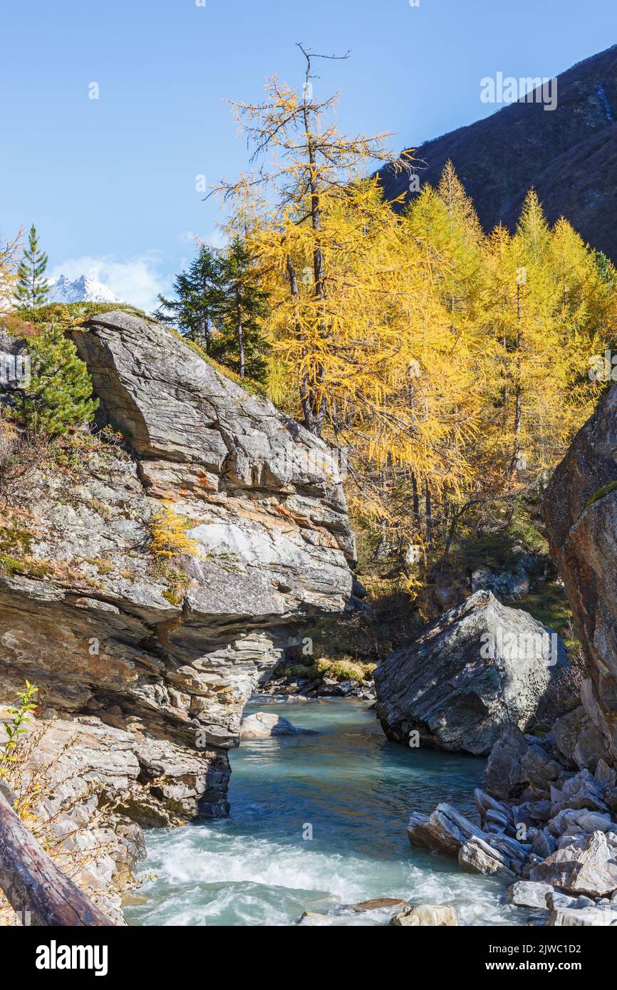 Burrone roccioso con ruscello in autunno Foto Stock