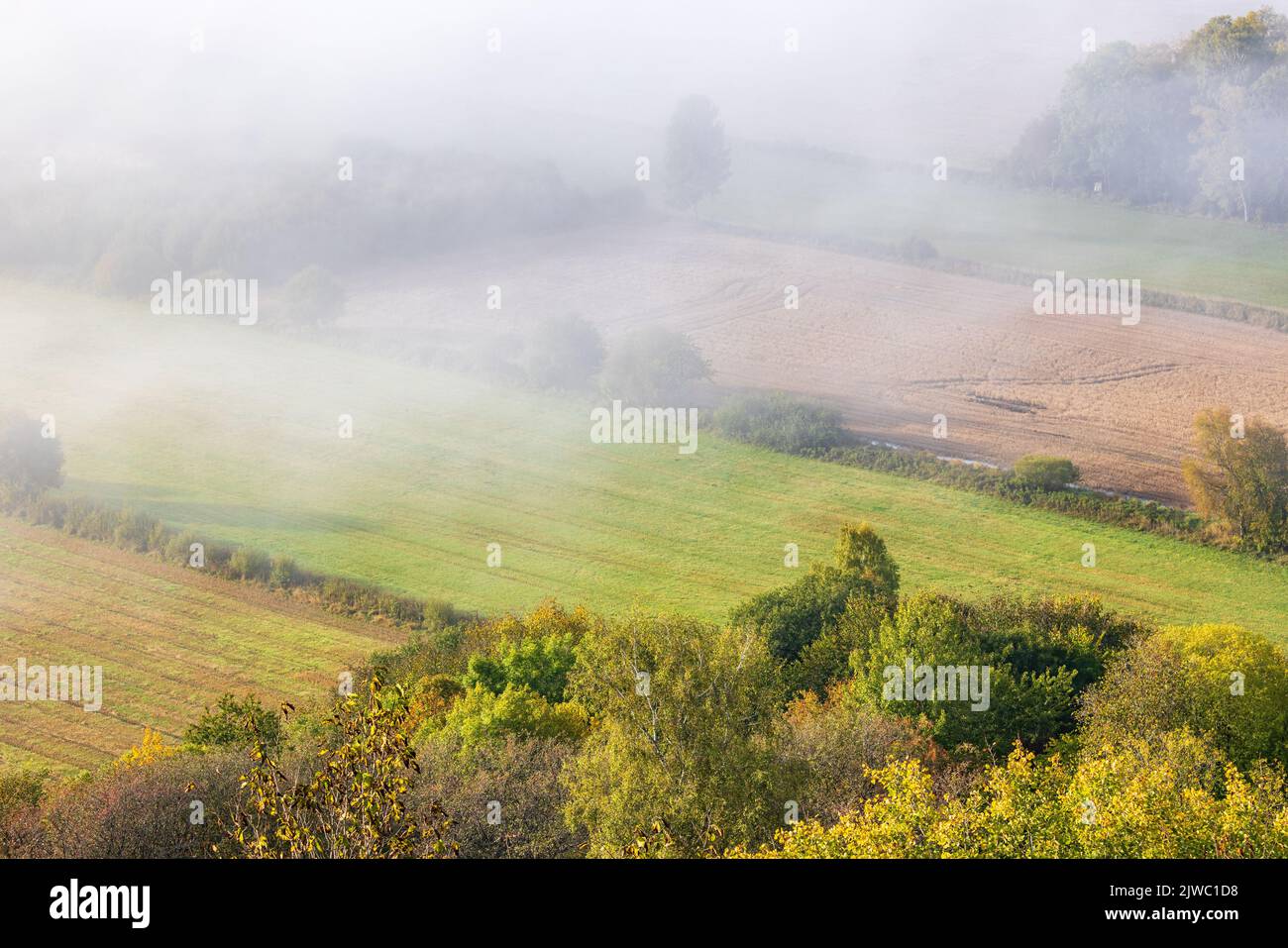 Campi con nebbia e colori autunnali Foto Stock