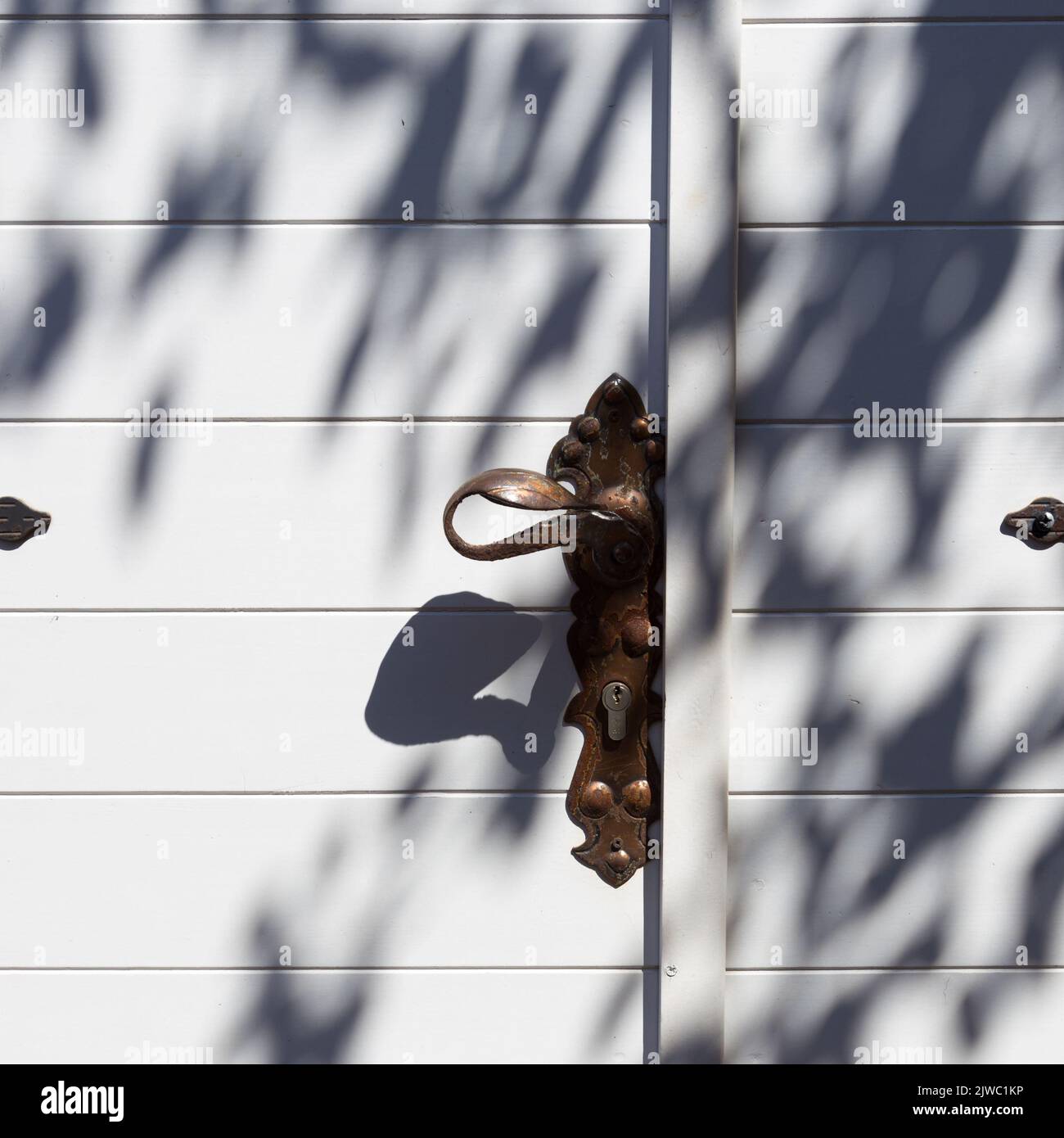 Tradizionale sfondo mediterraneo costituito da dettagli arcitecturali di porte in legno bianco con pomolo in ottone con ombra di ulivo. Foto Stock