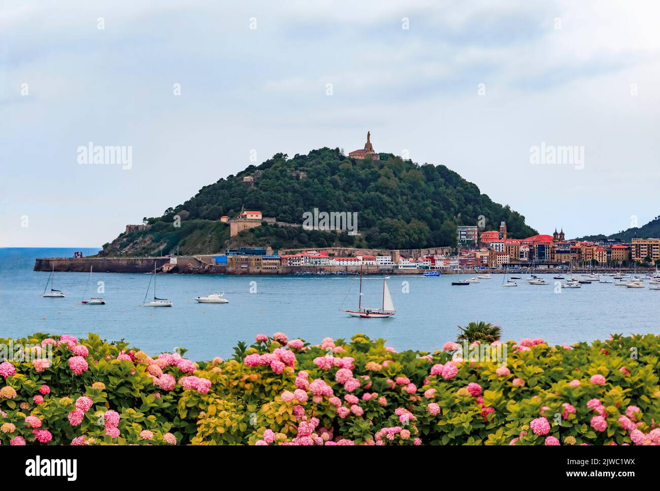 Baia di la Concha e Monte Urgull, San Sebastian Donostia con la costa della città e case sul lungomare, fiori in primo piano, Paesi Baschi, Spagna Foto Stock