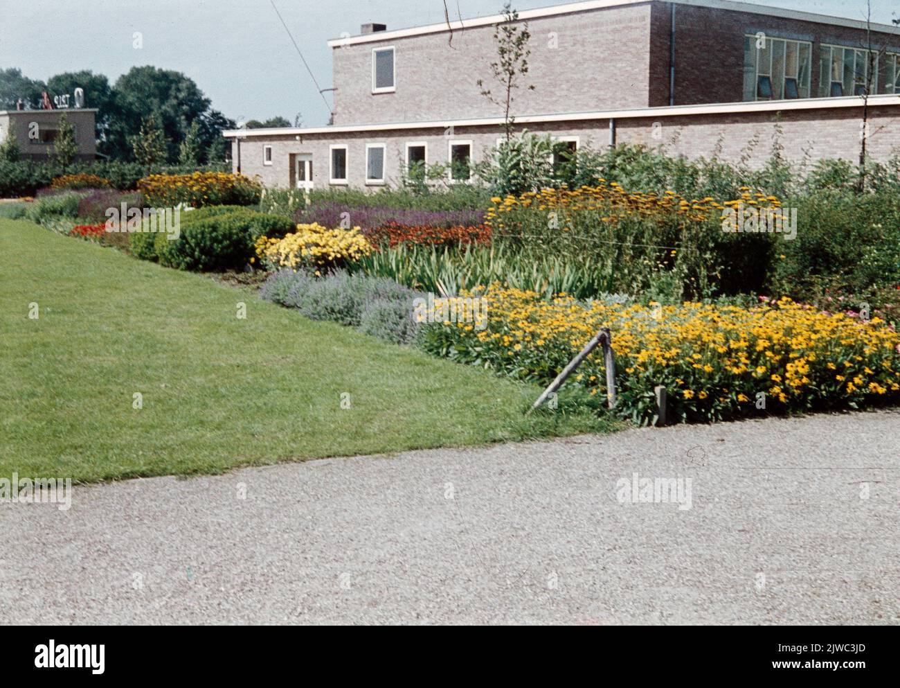 Immagine di un bordo floreale lungo la parete laterale della chiesa di Rehoboth (Tolsteegplantsoen 159) a Utrecht. Foto Stock