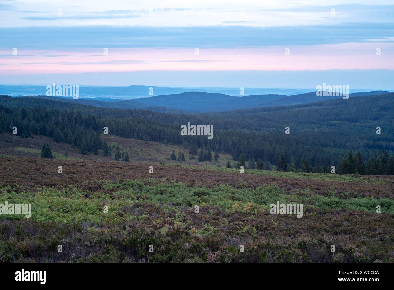 Vista serale dall'ex gamma di artiglieria a Tok, la vetta più alta di Brdy MTS., Czechia. Uno sguardo verso nord verso la regione del castello di Točník. Foto Stock