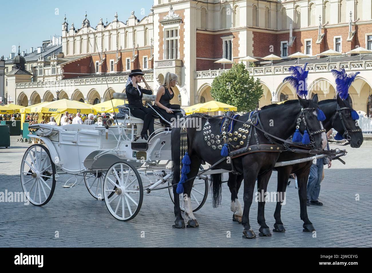 Cracovia, Polonia - 19 settembre : carrozza e cavalli a Cracovia, Polonia il 19 settembre 2014. Persone non identificate Foto Stock
