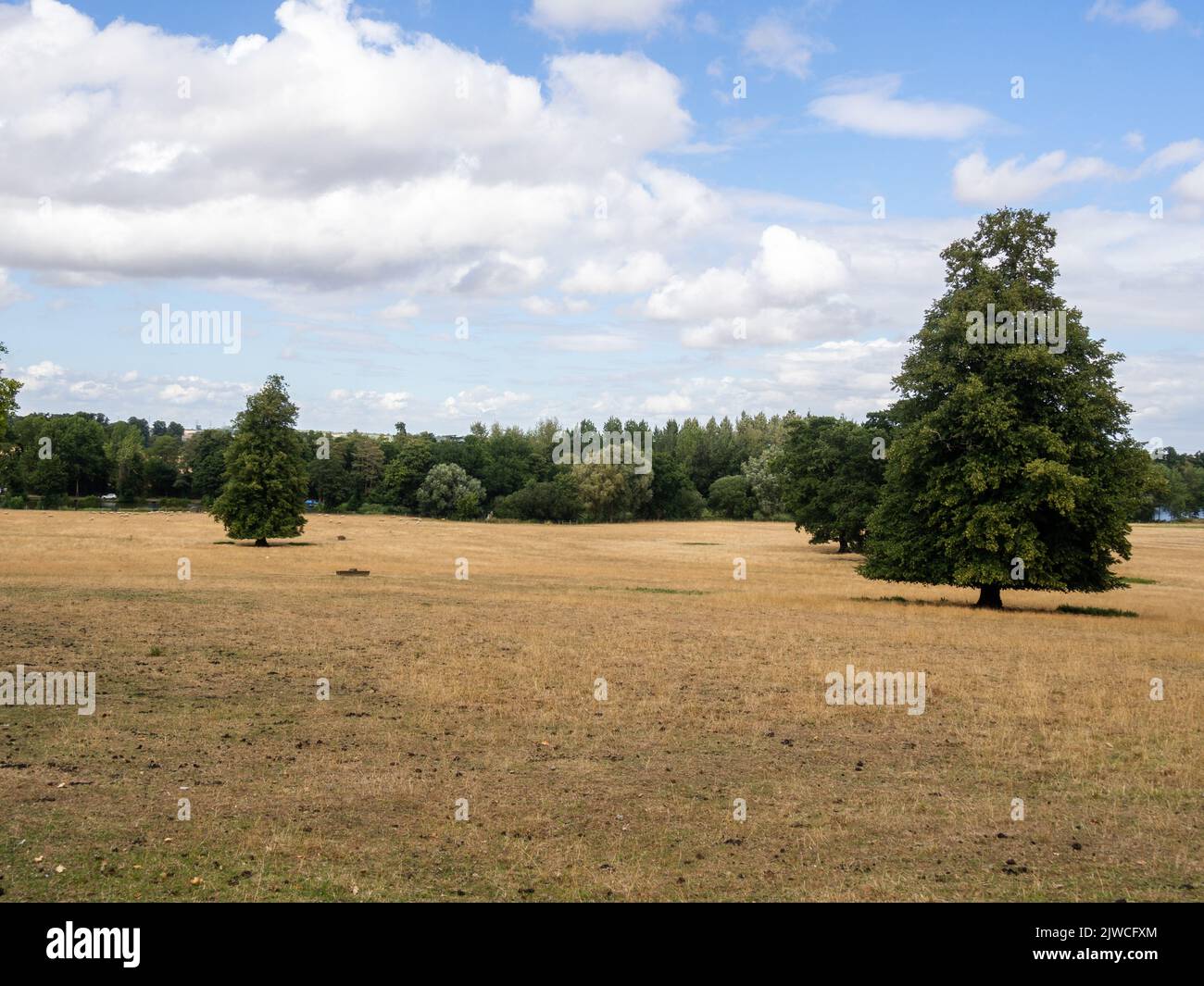 Siccità UK 2022; campi arroccati a Castle Ashby, Northamptonshire, Foto Stock