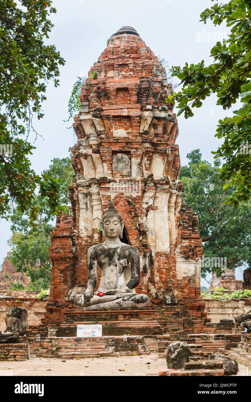 Prang e statua di Buddha nelle rovine di Wat Maha That, il tempio sacro reale di Ayutthaya, Thailandia Foto Stock