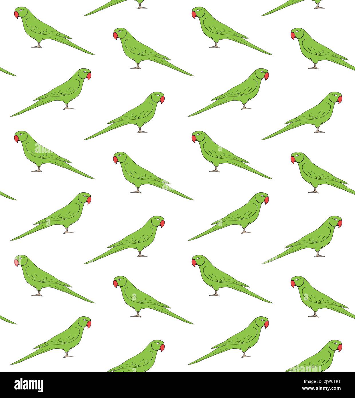 Vettore senza cuciture modello di disegno a mano doodle colorato indiano ringneck pappagallo isolato su sfondo bianco Illustrazione Vettoriale
