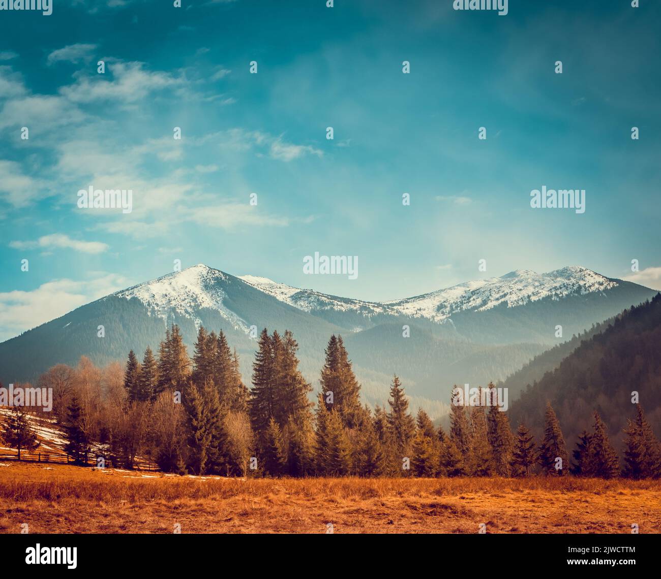 Incredibile paesaggio autunnale. Paesaggio montano panoramico con cime innevate e pineta. Favoloso scenario di natura del mattino. Viaggi, escursioni, libertà, stile di vita attivo. Filtro vintage a tonalità retrò Foto Stock