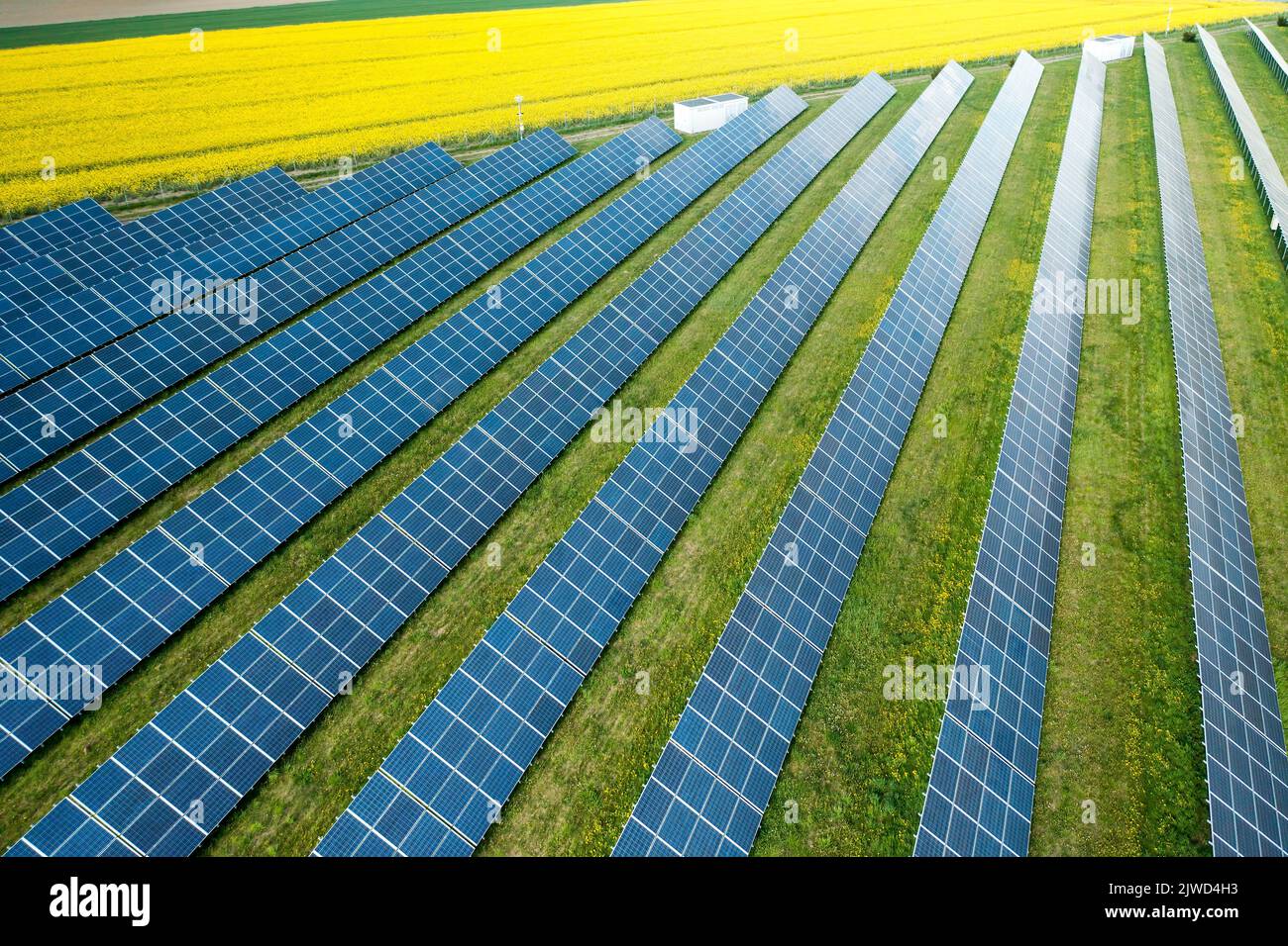 Pannello solare per la generazione di corrente continua in campo giallo. Fotovoltaico e risorsa alternativa di energia, vista aerea Foto Stock