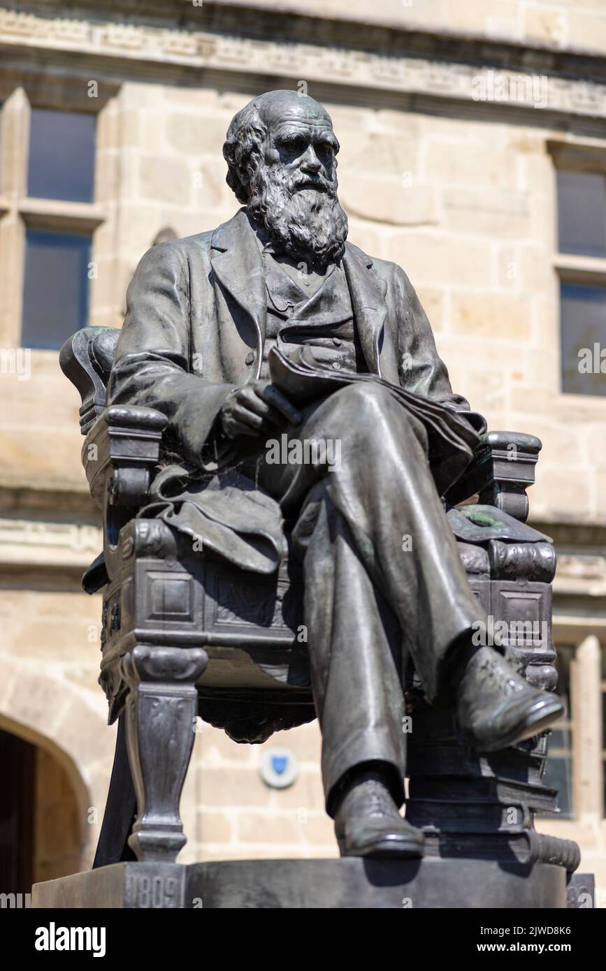 Statua di Charles Darwin Statua fuori Shrewsbury Biblioteca Shrewsbury Shropshire Inghilterra GB Europa Foto Stock