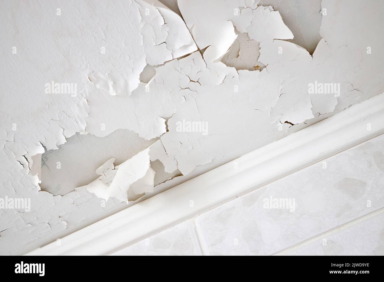 Perdita di rigonfiamento di imbiancare e intonaco sul soffitto di abitazione dovuti alla penetrazione di acqua dal piano superiore o tetto. Foto Stock