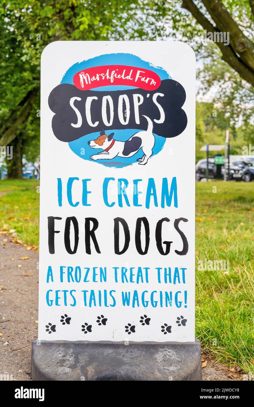 Vista frontale di un cartello in un parco che offre gelato per cani. Foto Stock