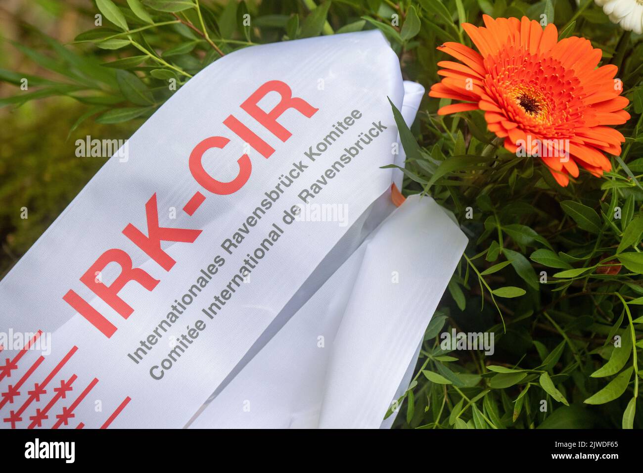 Neubrandenburg, Germania. 05th Set, 2022. I fiori si trovano in un monumento commemorativo sul sito dell'ex campo di concentramento di Waldbau a Neubrandenburg. Lo stesso giorno, le donne del Comitato Internazionale di Ravensbrück visitano il sito. Nel campo con due siti a Neubrandenburg, circa 7000 donne dovevano vivere nelle condizioni più avverse e svolgere lavori forzati. Il Comitato di Ravensbrück riunisce i sopravvissuti del campo di concentramento delle donne di Ravensbrück e i loro figli e nipoti di 16 paesi. Credit: Stefan Sauer/dpa/Alamy Live News Foto Stock