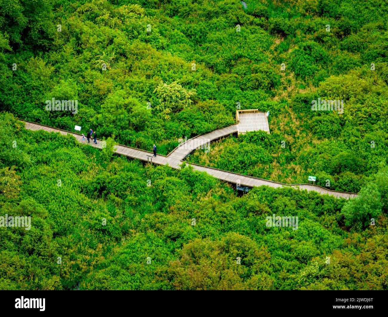 Una vista aerea di persone che camminano su un sentiero in legno nel Campbell Valley Regional Park, Canada Foto Stock