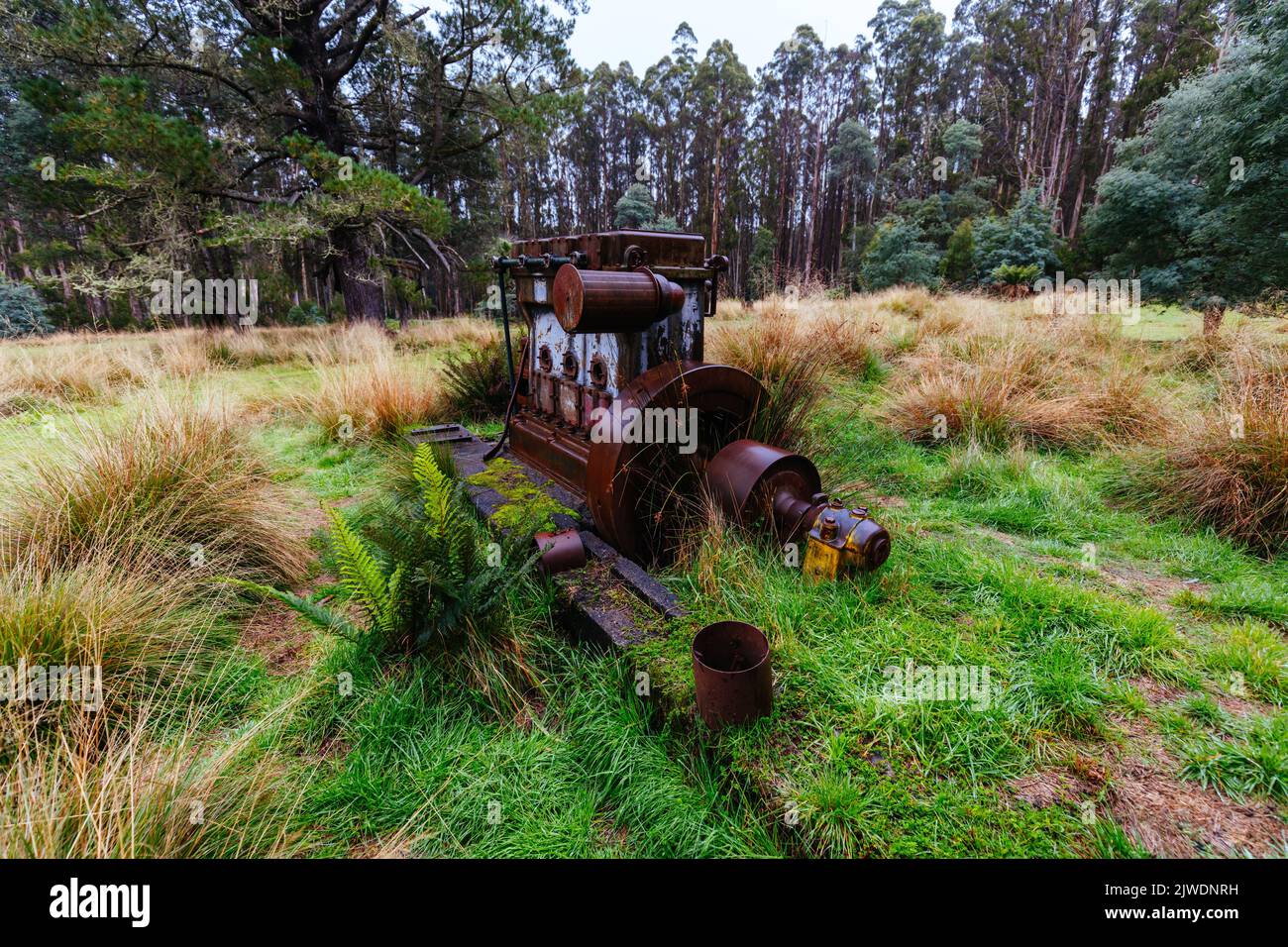 Cambarville Villaggio storico in Victoria Australia Foto Stock