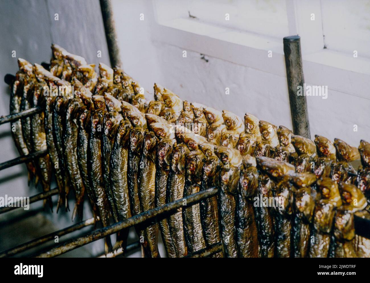DANIMARCA Bornholm pesce affumicato direttamente dal fumo ai piatti del pranzo turistico Foto Stock
