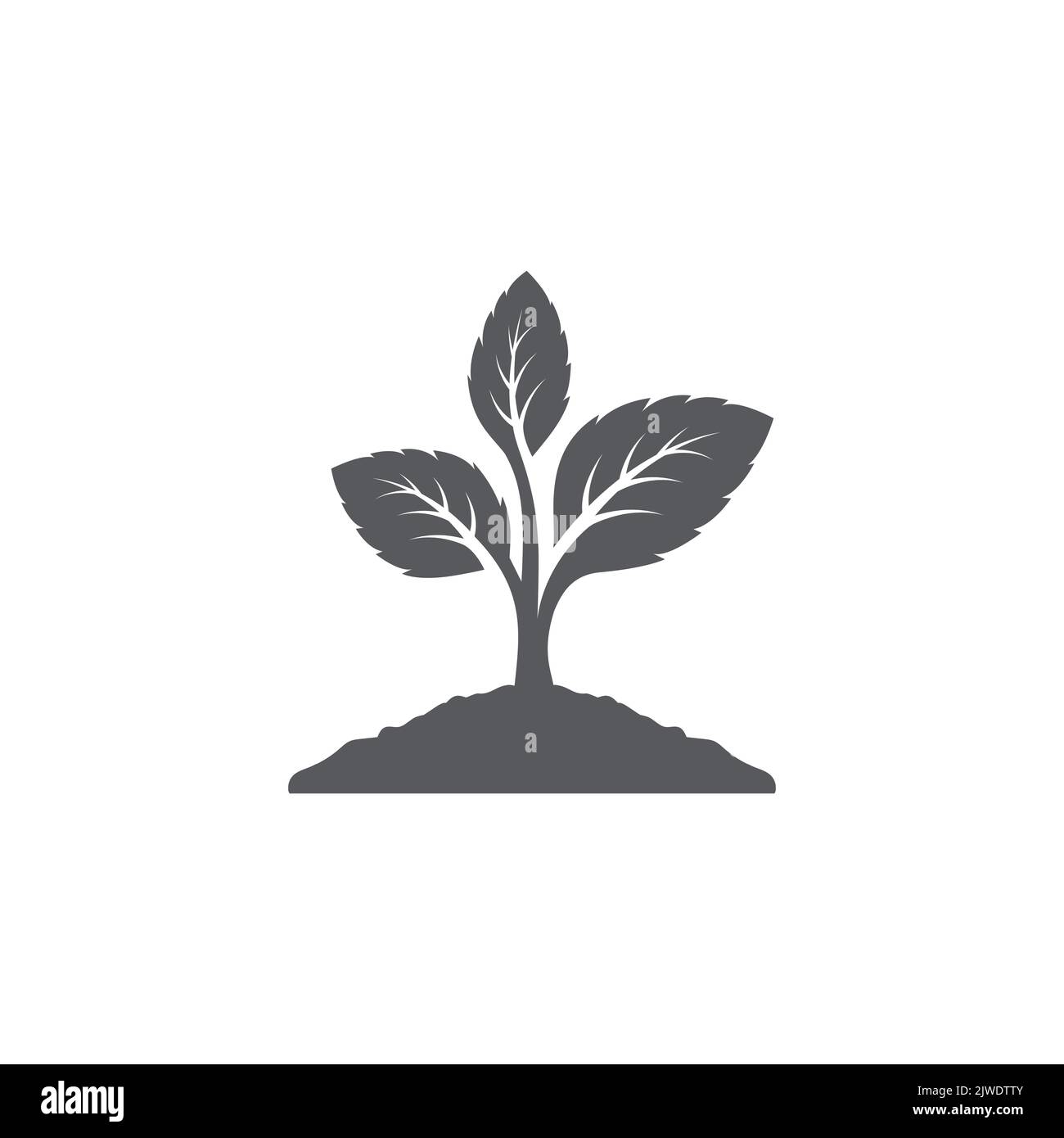 Pianta icona design. Disegno del simbolo del segno seme. Silhouette ...