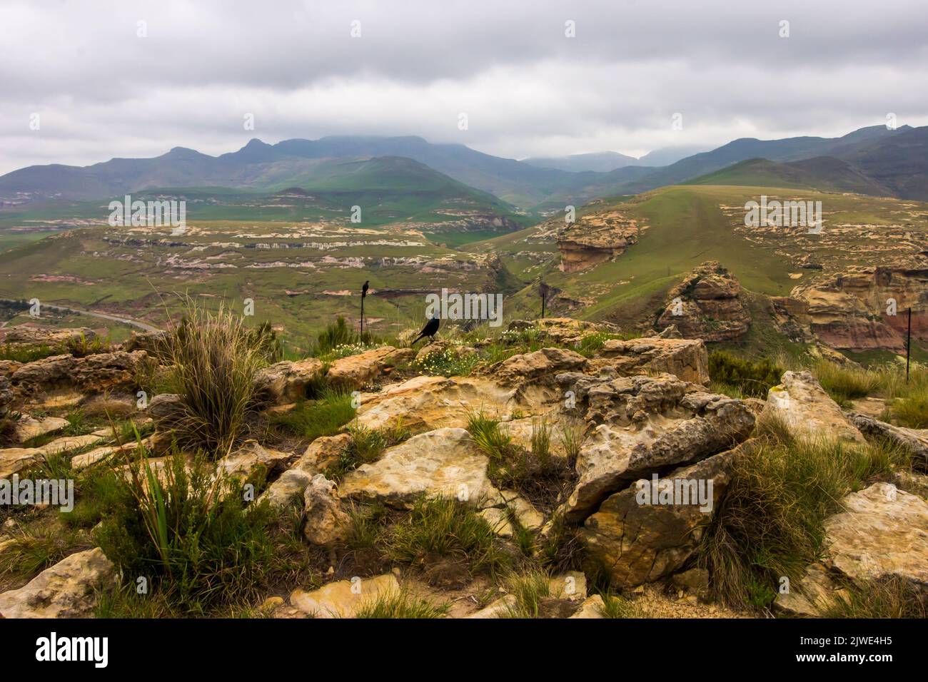 Le lontane Blue Mountains della catena montuosa Drakensberg, coperte da una coperta di nubi piovose basse, come si vede dalla cima del contrafforte Brandwag Foto Stock