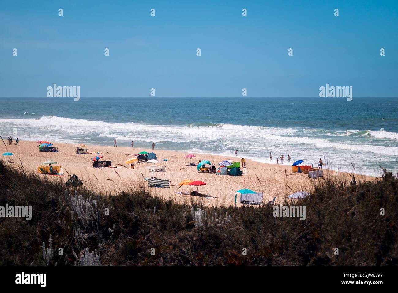 Spiaggia di Quiaios nascosta dietro le dune erbose con ombrelloni colorati, persone che si rilassano in riva all'oceano Atlantico e cielo blu. Vista frontale della costa Foto Stock