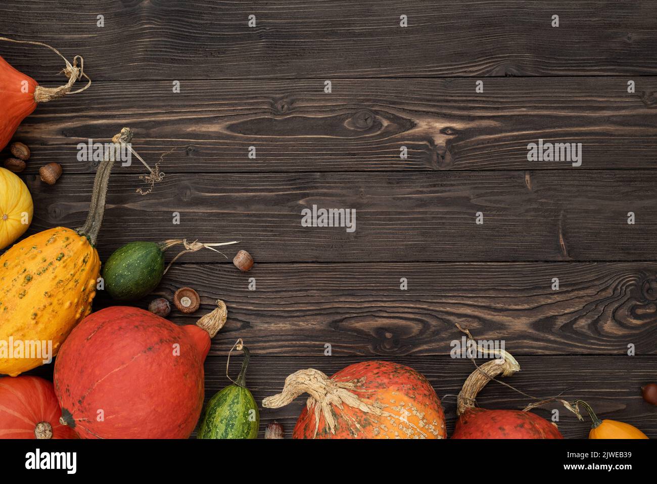Decorazioni autunnali festive di zucca raccolta, mais e zucca decorativa su uno sfondo di legno. Thanksgiving o Halloween concetto Foto Stock
