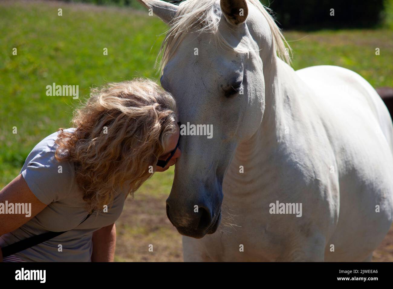 Donna in piedi in un campo baciando un cavallo, Francia Foto Stock