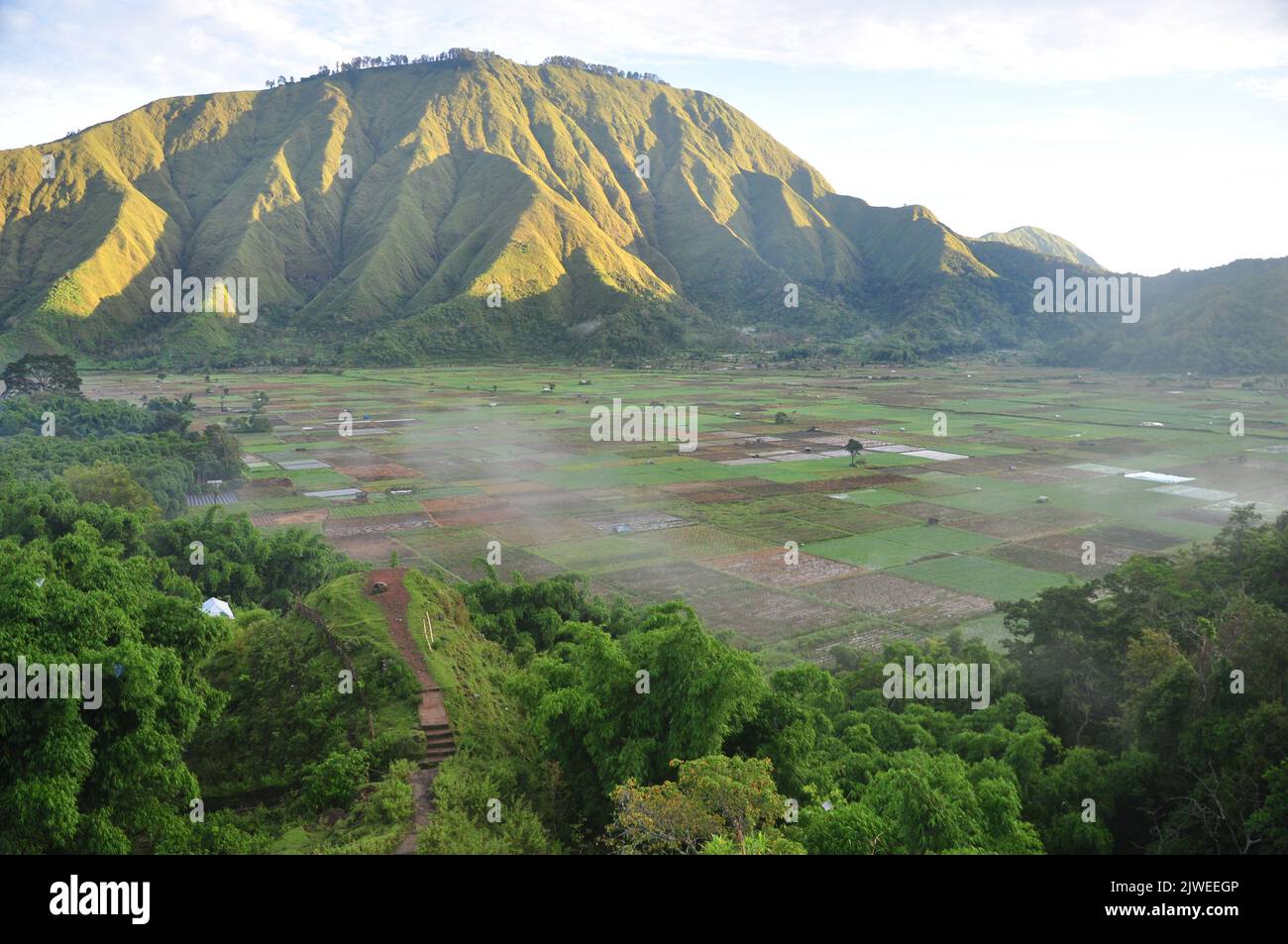 Veduta aerea della ghirlanda vicino al villaggio di Sembalun e al Monte Rinjani, Lombok, Indonesia Foto Stock