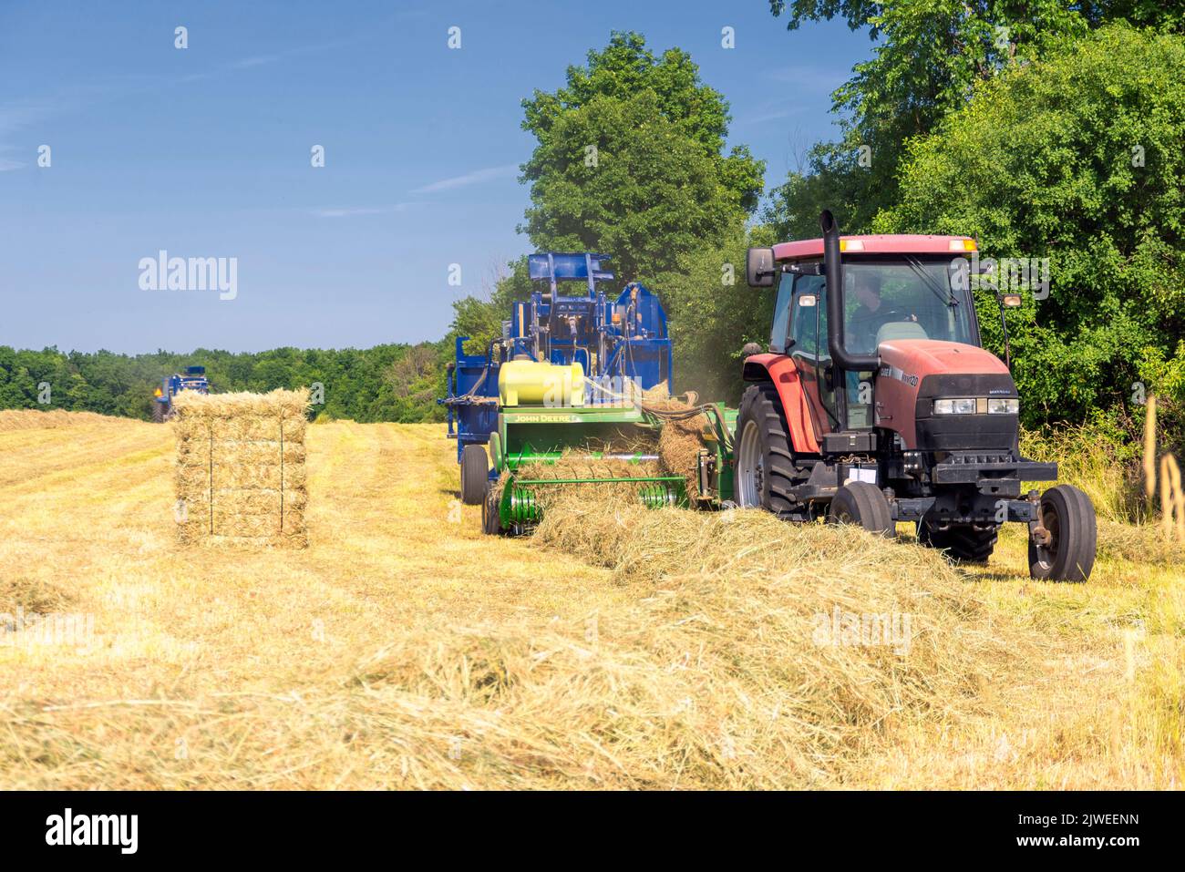 Imballaggio e impilamento del fieno. Contea di Ontario. Farmington, New York Foto Stock