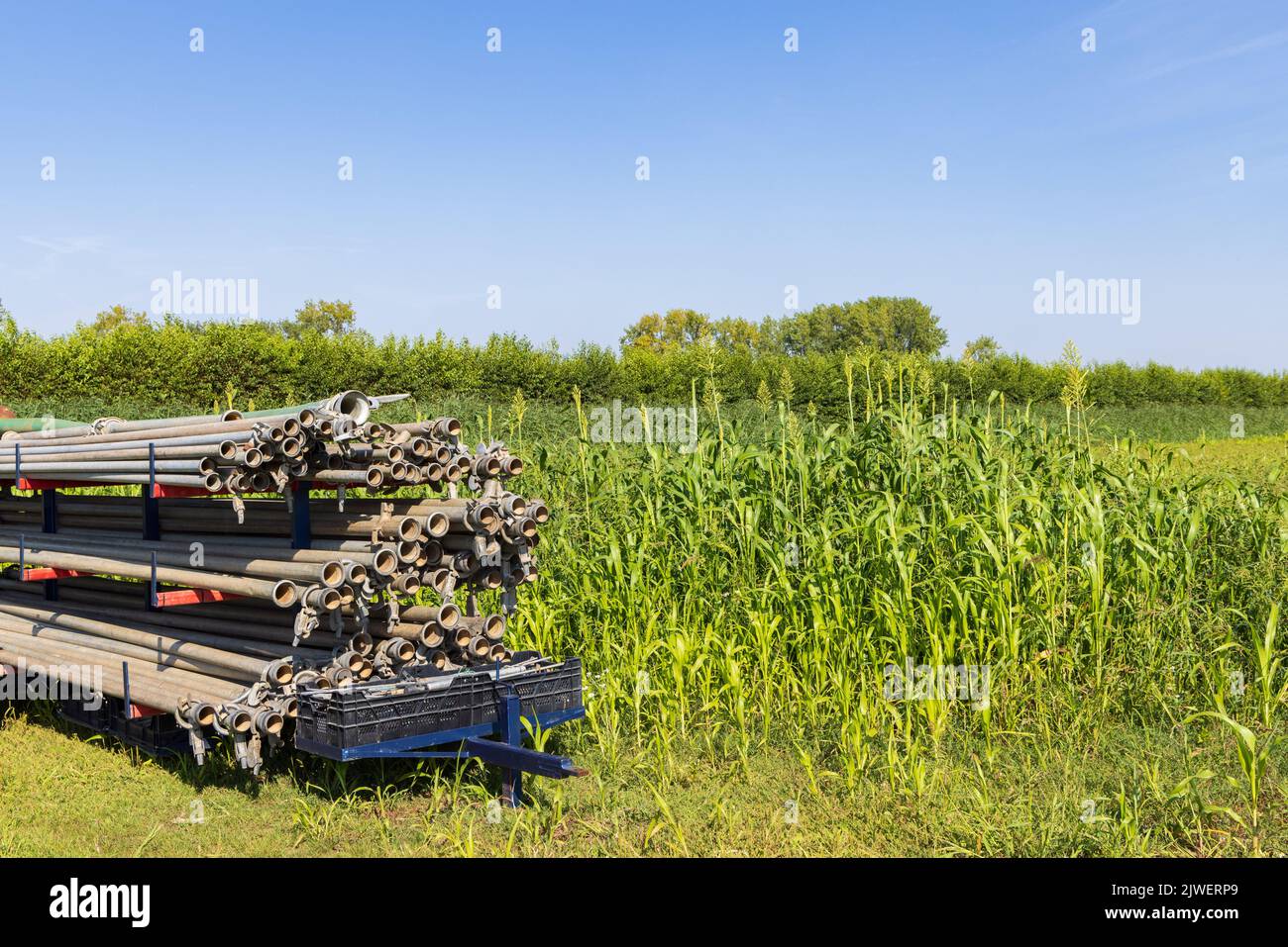 La raccolta di tubi d'acqua è pronta per essere utilizzata a terra per diffondere l'acqua lungo gli alberi da frutto del Betuwe di Lienden a Gelderland Foto Stock