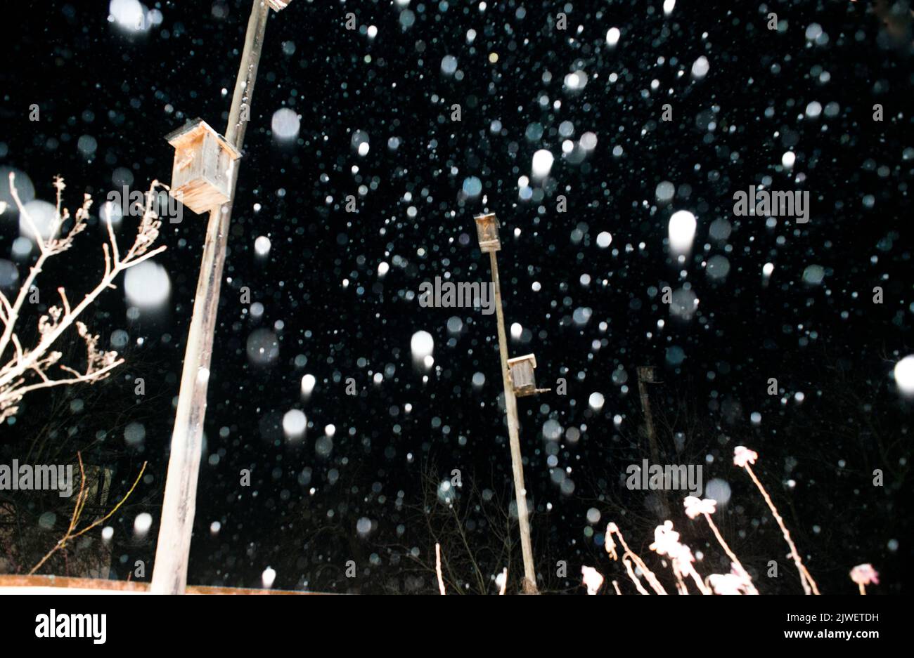 Starling case nella notte nevicata Foto Stock