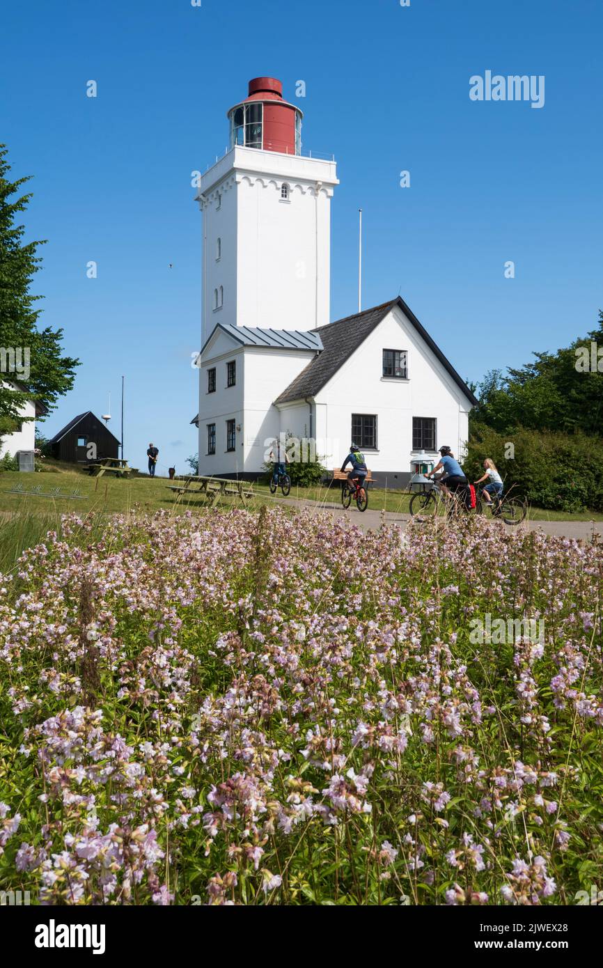 Faro di Nakkehoved Fyr con fiori selvatici estivi in primo piano, Gilleleje, Zelanda, Danimarca, Europa Foto Stock