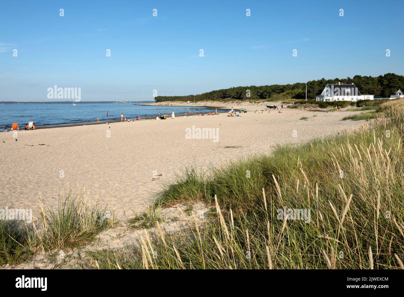 Spiaggia di Hornbaek in estate pomeriggio sole, Hornbaek, Zelanda, Danimarca, Europa Foto Stock