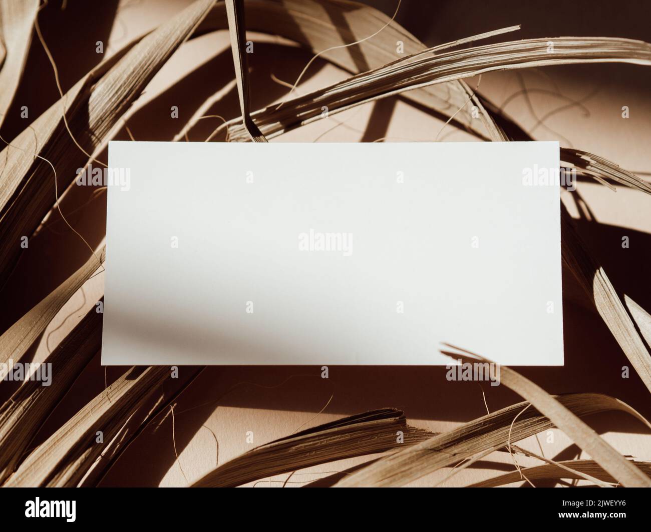 Modello bianco per il marchio del biglietto da visita su sfondo beige a foglia di palma secca con ombre vista dall'alto. Elemento di design per l'invito di nozze, grazie Foto Stock