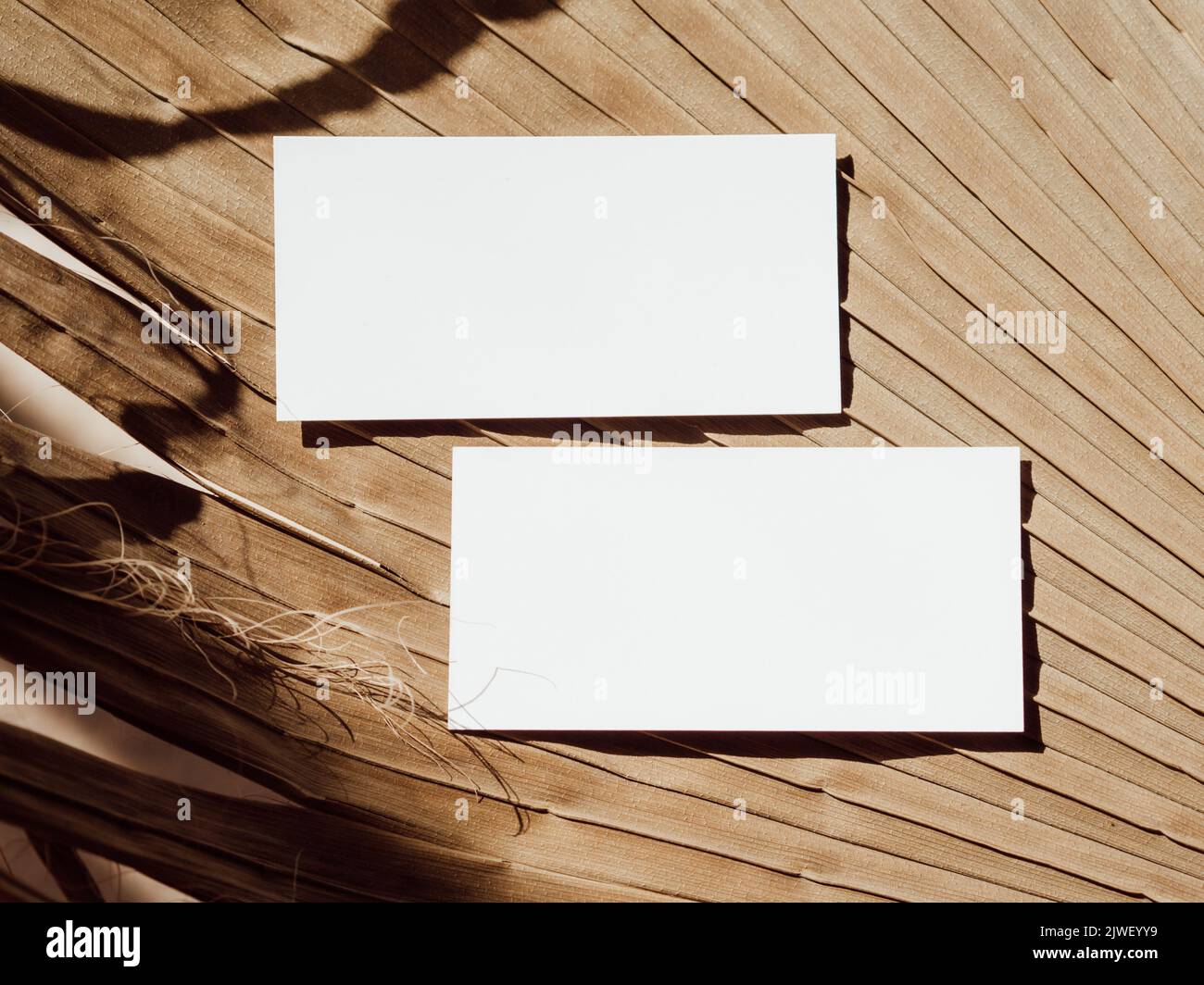 Due biglietti da visita bianchi modello marchio mockup su beige secco foglia di palma sfondo vista dall'alto. Elemento di design per l'invito di nozze, scheda di ringraziamento, g Foto Stock