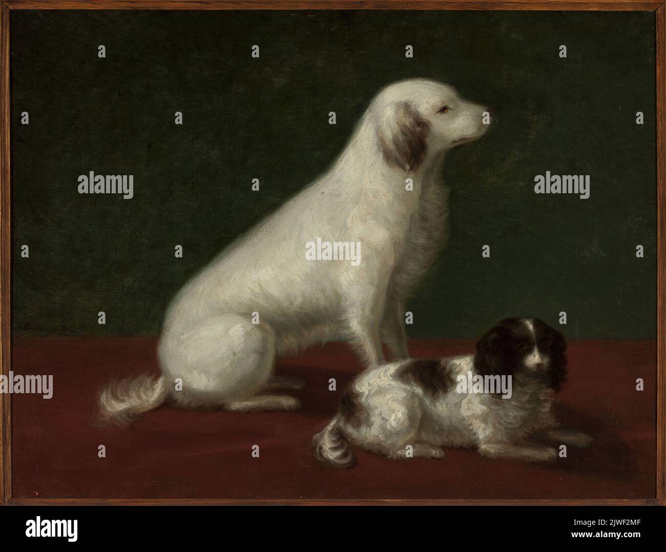 Due cani: Miskon e Medorek. Szymanowska-Lenartowicz, Zofia (1825-1870), pittore Foto Stock