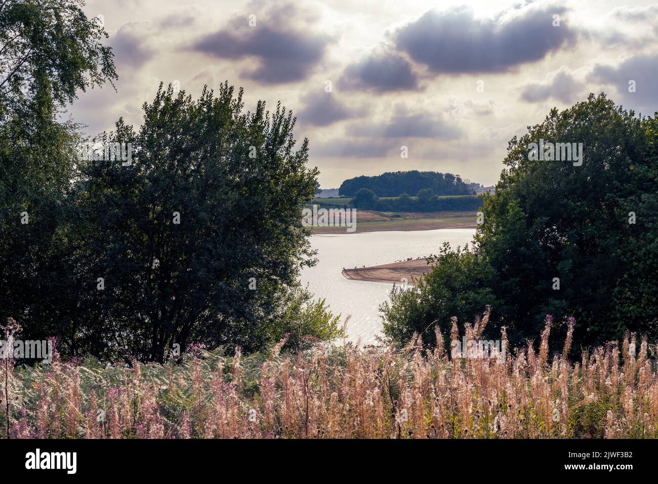 Vista dell'acqua di Bewl in tarda estate in un pomeriggio nuvoloso, Kent, Inghilterra Foto Stock