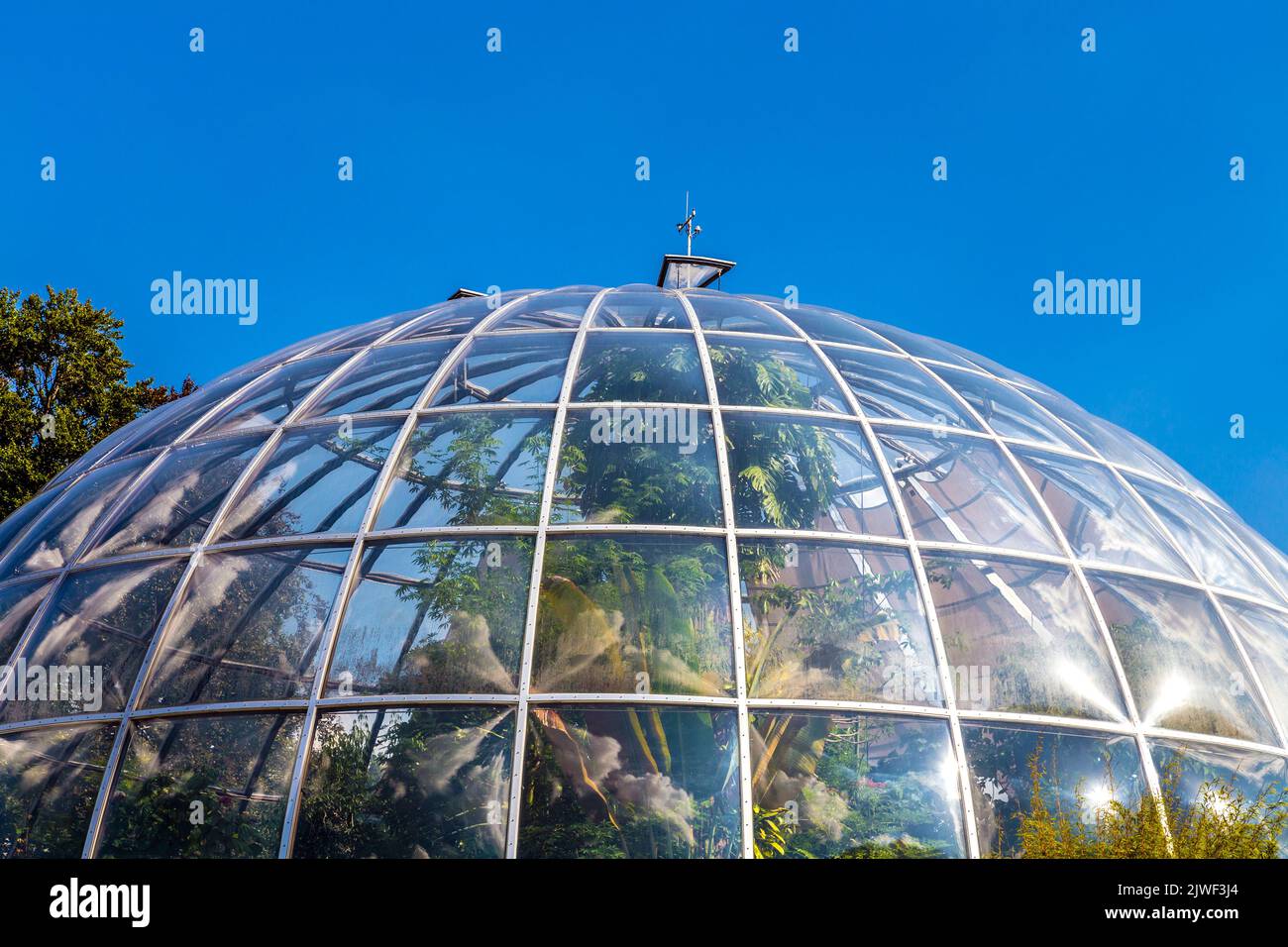 Cupola di una serra presso l'Orto Botanico dell'Università di Zurigo, Zurigo, Svizzera Foto Stock