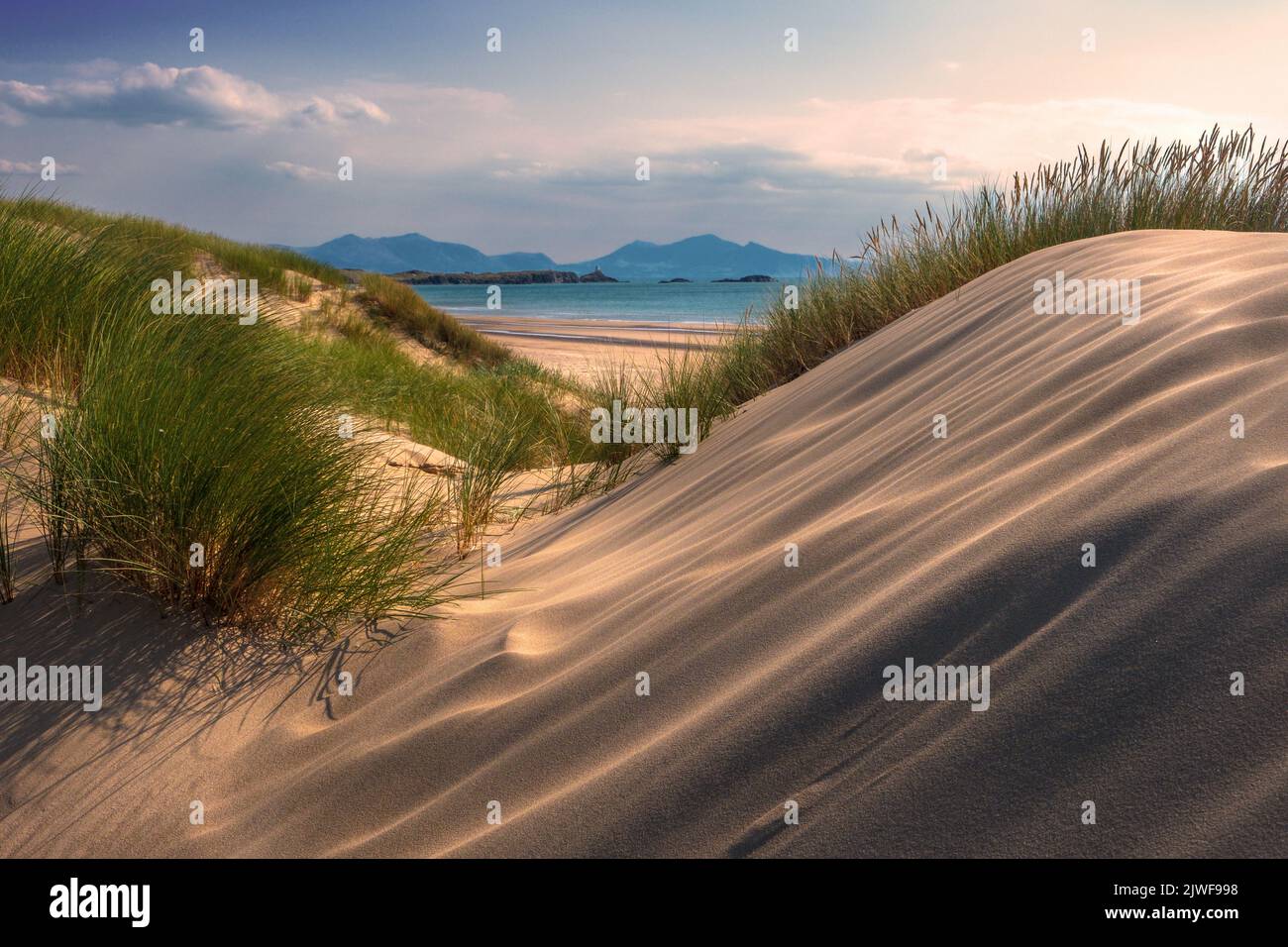 Dune di sabbia e erba di marram a Newborough , Anglesey, Galles del Nord. Llanddwyn Island e la penisola di Lleyn in lontananza Foto Stock