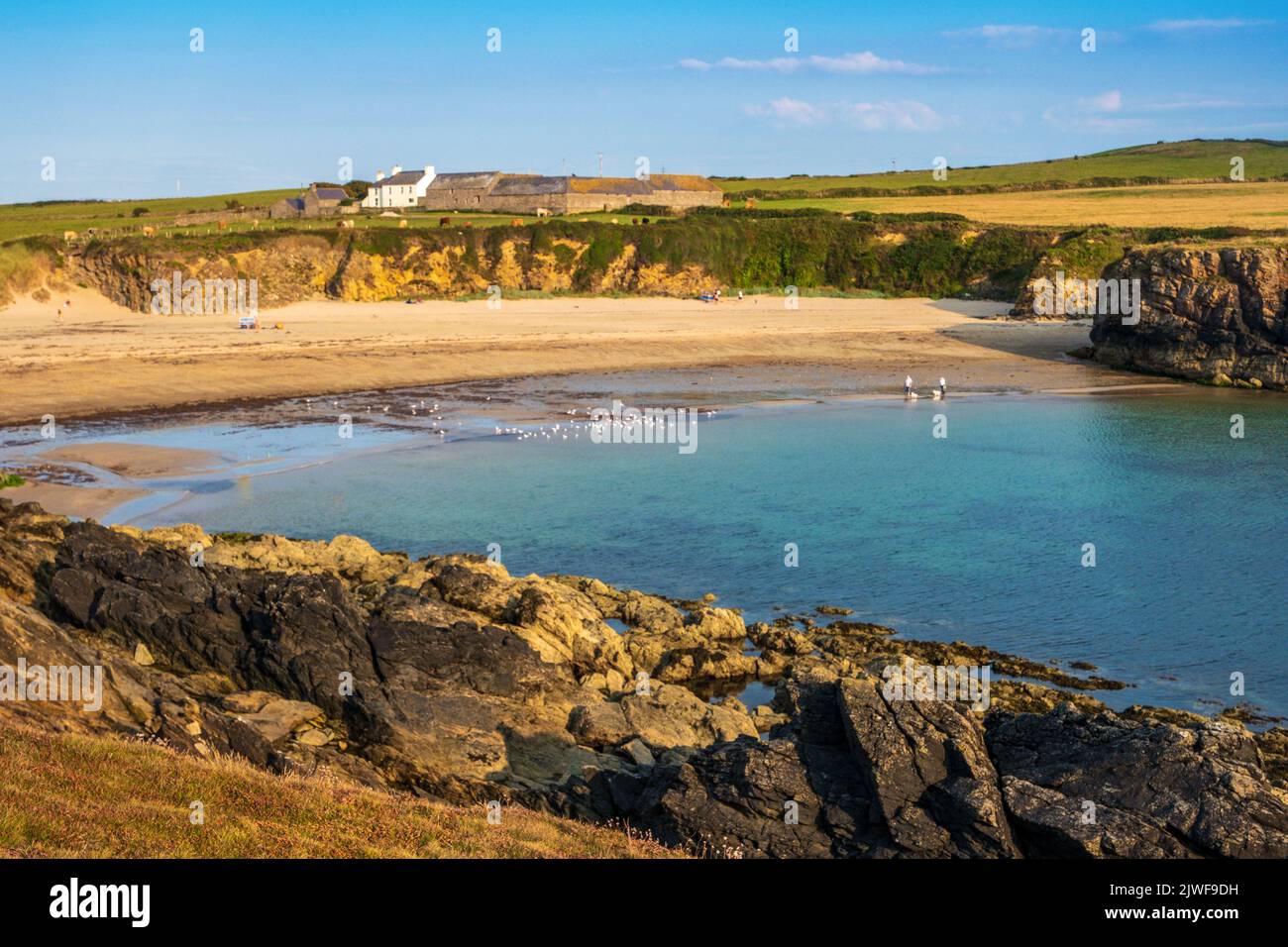 Cable Bay / Porth Trecastell spiaggia su Anglesey, Galles del Nord Foto Stock