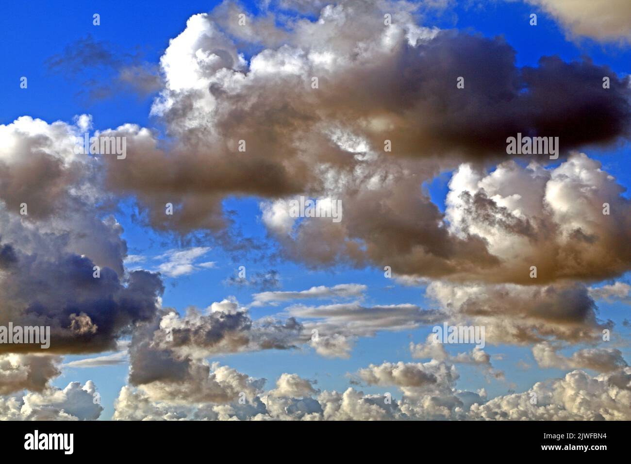 Bianco, grigio, scuro, nuvola di cumulo, nuvole, Cielo blu, cieli, meteo, meteorologia, Inghilterra, REGNO UNITO Foto Stock