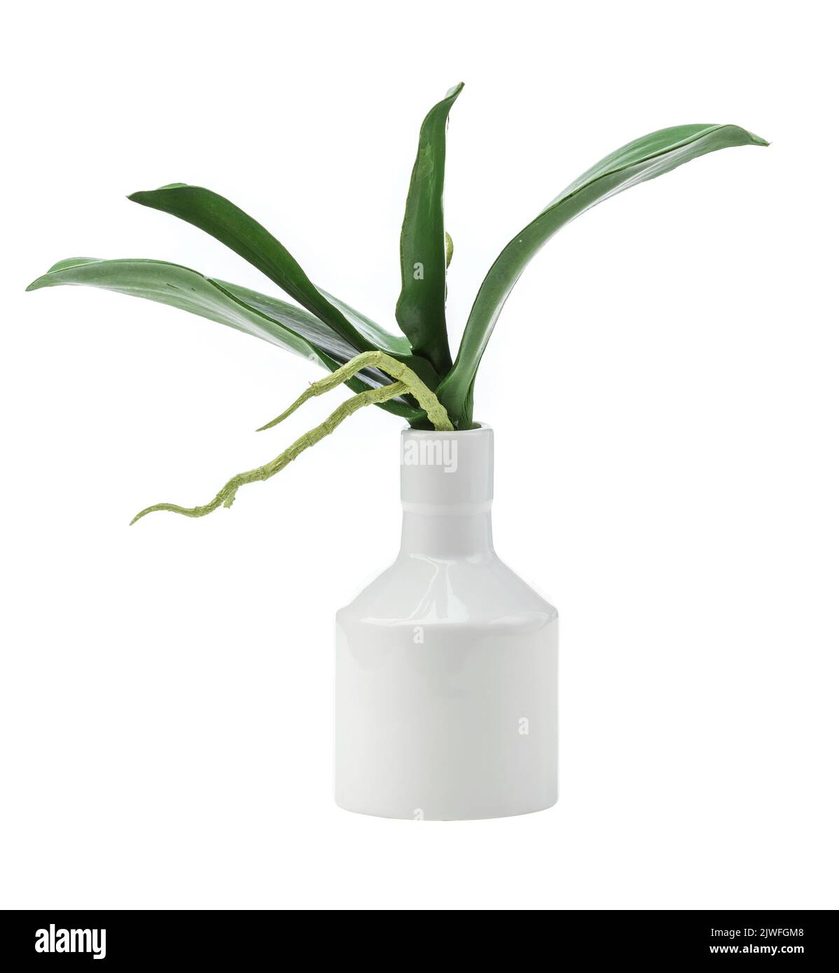 Pianta artificiale in vaso su fondo bianco. Immagine per il design degli interni e la decorazione di casa e ufficio. Foto Stock